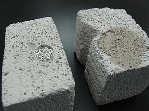 20090803-008.jpg
